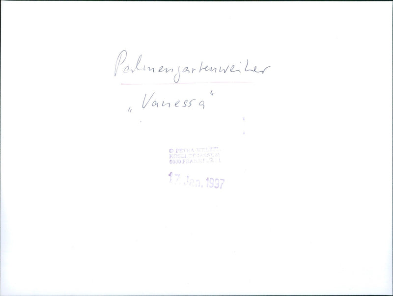 Palmengarten pond in Frankfurt - Vintage Photograph