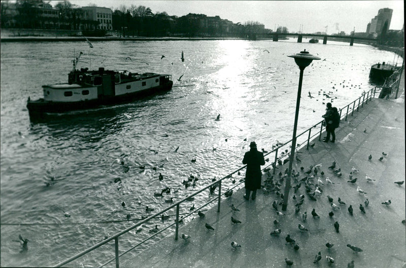 Frankfurt bank of the Main - Vintage Photograph