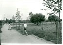 Günthersburgpark - Vintage Photograph