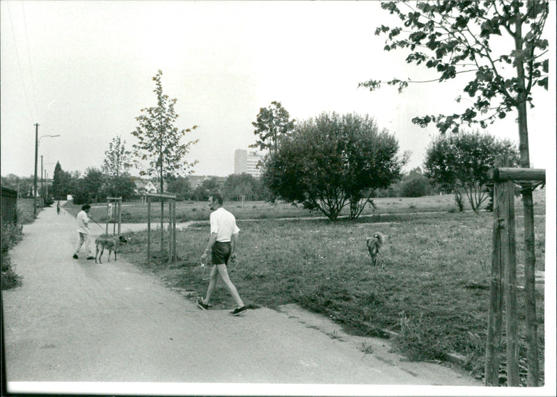 Günthersburgpark - Vintage Photograph