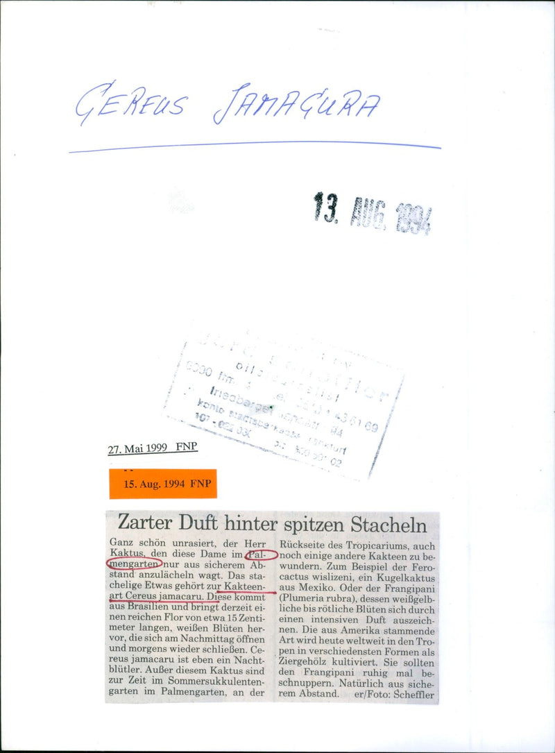 1994 palm garden - Vintage Photograph