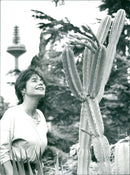 1994 palm garden - Vintage Photograph