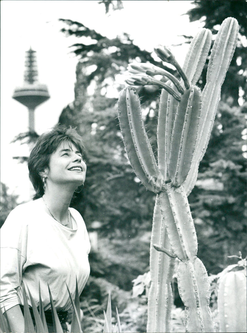 1994 palm garden - Vintage Photograph