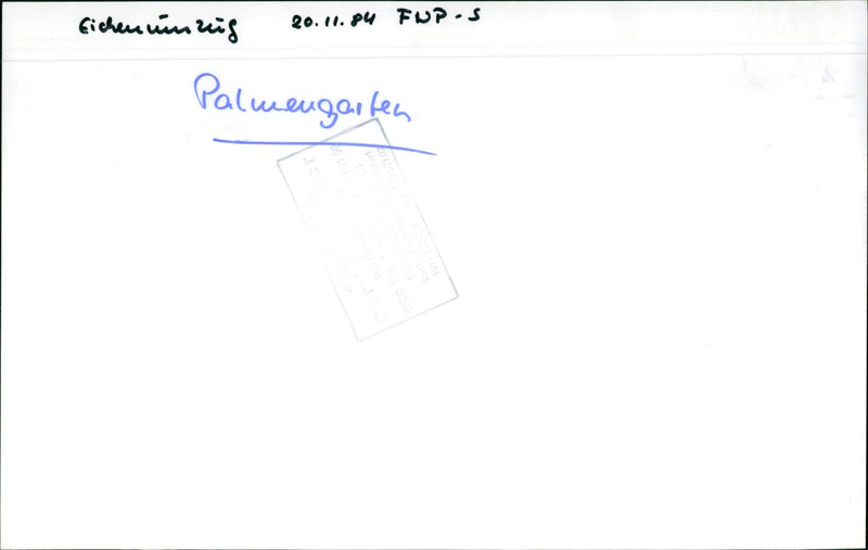 PLANTS FUPIS PALM GARDEN LOCATED TOWN FUPI GREECE GARD - Vintage Photograph