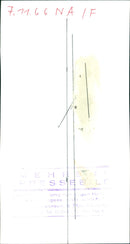 Insect exhibition - Vintage Photograph