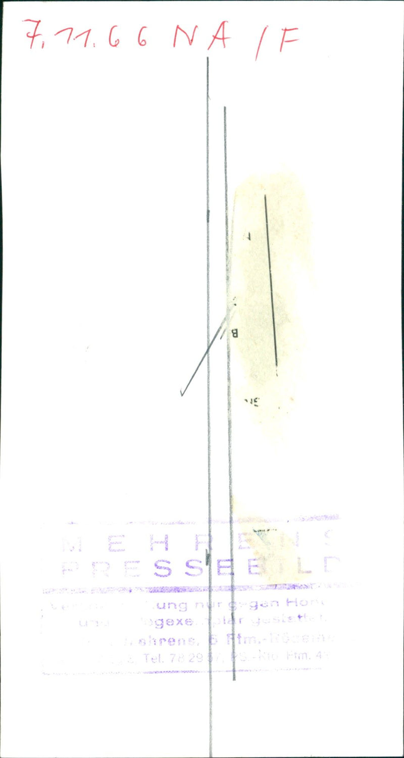 Insect exhibition - Vintage Photograph