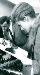 Insect exhibition - Vintage Photograph