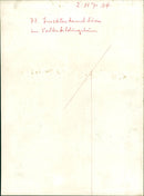 Insect exchange - Vintage Photograph