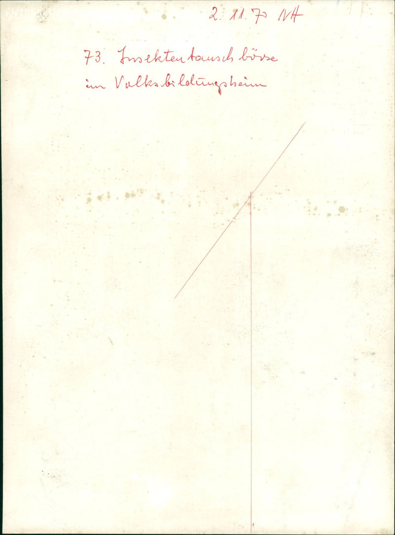 Insect exchange - Vintage Photograph