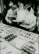 Insect exchange - Vintage Photograph