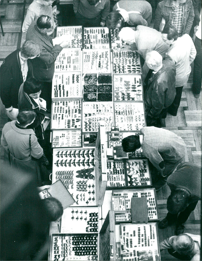 Frankfurt insect exchange market - Vintage Photograph