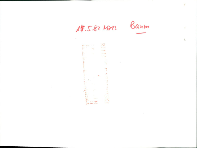 Walkers in nature - Vintage Photograph