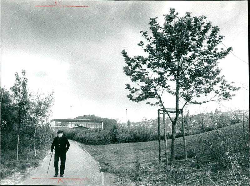 Walkers in nature - Vintage Photograph