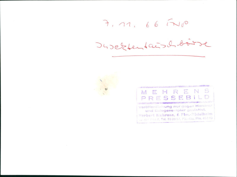 Insect exchange - Vintage Photograph