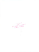 The old bridge - Vintage Photograph