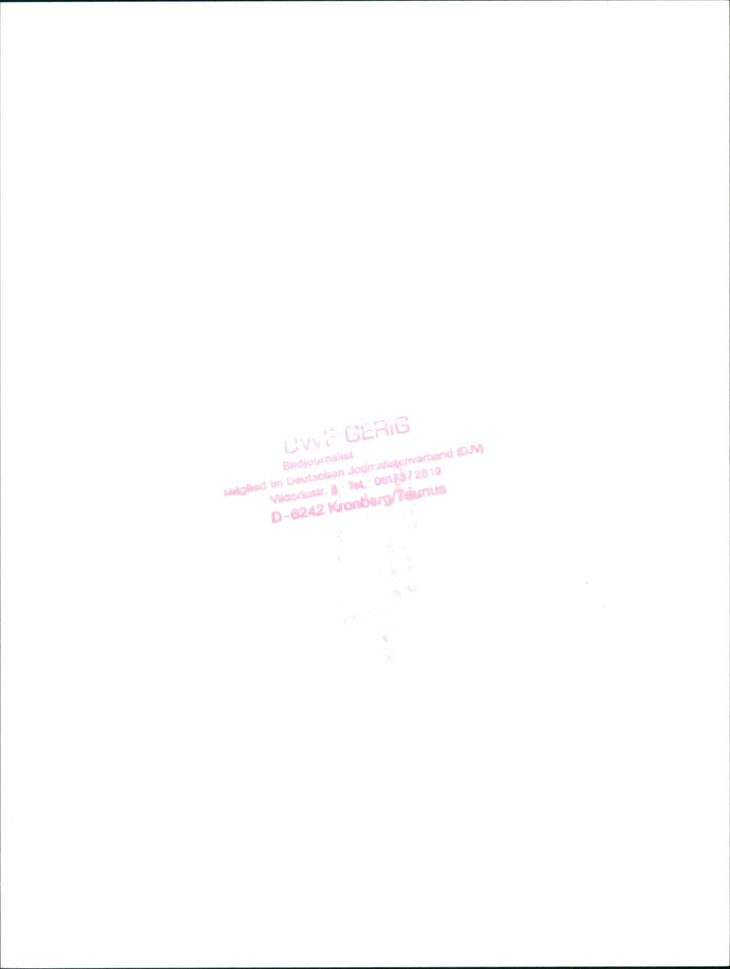 The old bridge - Vintage Photograph