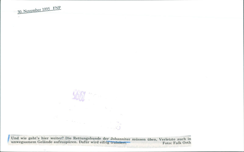 UNITER UUFE RESCUE DOGS JOHANNITER MUST UBEN HARMED END - Vintage Photograph