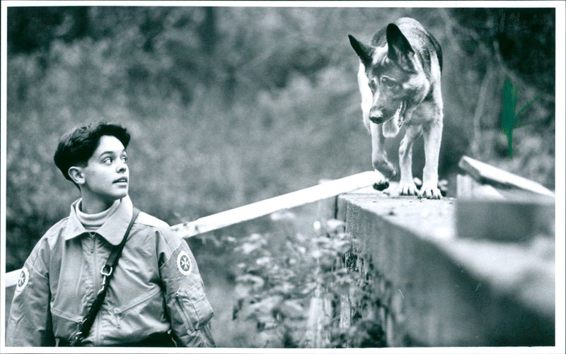 UNITER UUFE RESCUE DOGS JOHANNITER MUST UBEN HARMED END - Vintage Photograph