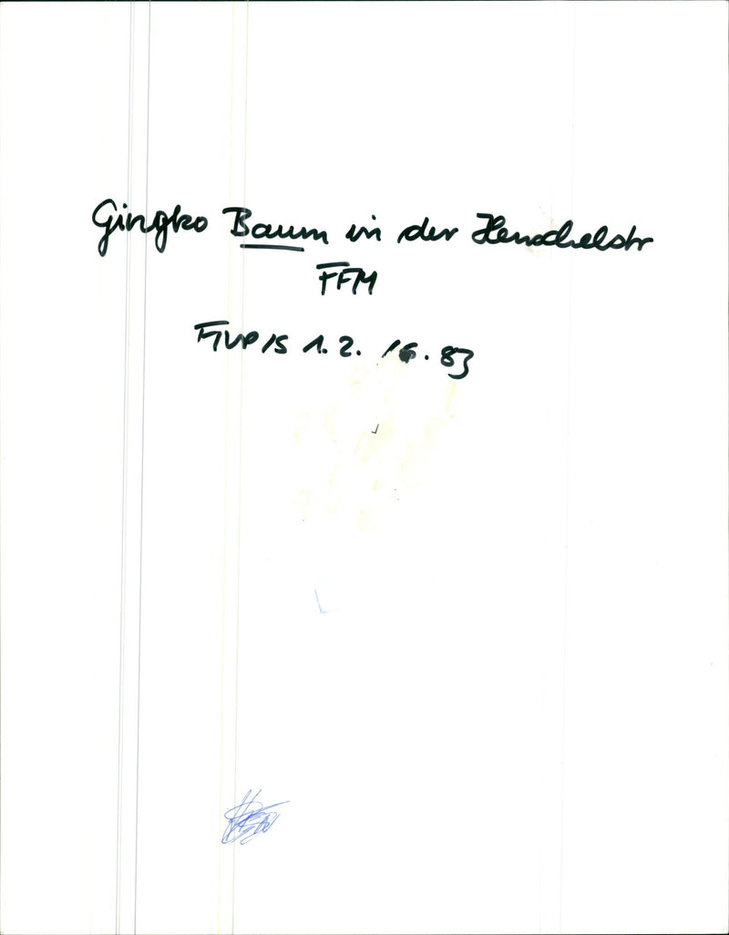 1983 CONSTRUCTION TREES IPFLEGESE GINGKO TREE HENSCHELST FFM FTOWARDS CON - Vintage Photograph