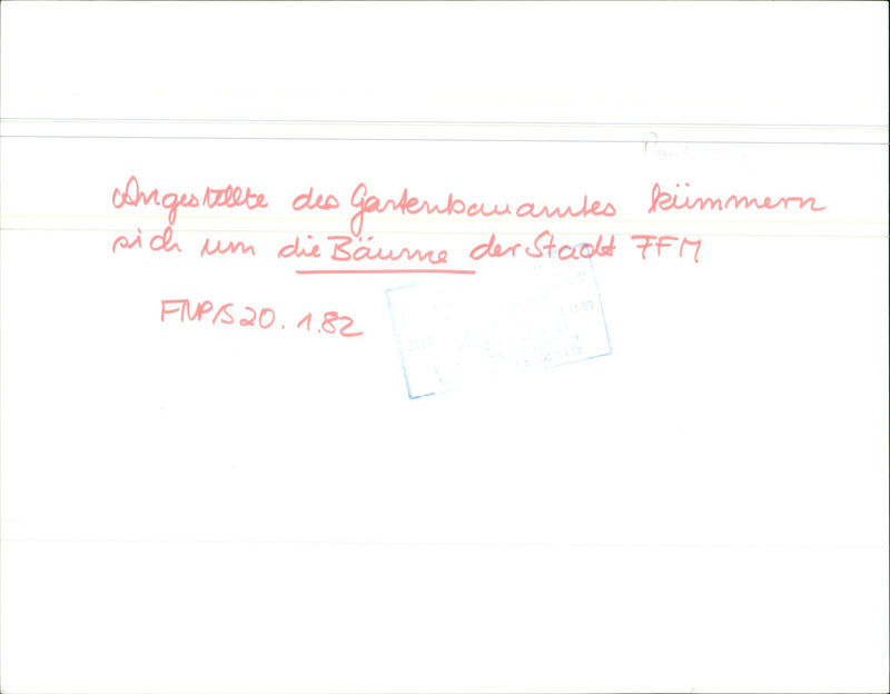 1982 CONSTRUCTION IPFLEGESE EMPLOYEES TURNED AROUND TREES FFM - Vintage Photograph