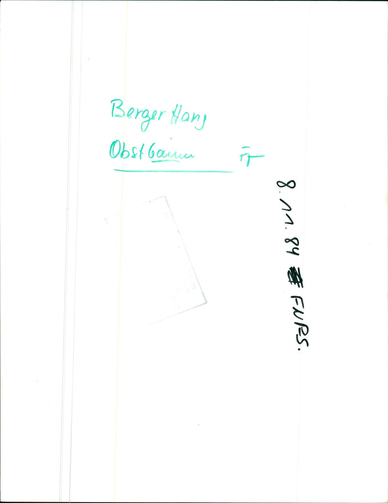 1984 TREES IPFLEGESE BERGER HANG OBS FURS CONSTRUCTION GIA - Vintage Photograph