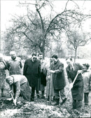 1984 TREES IPFLEGESE BERGER HANG OBS FURS CONSTRUCTION GIA - Vintage Photograph