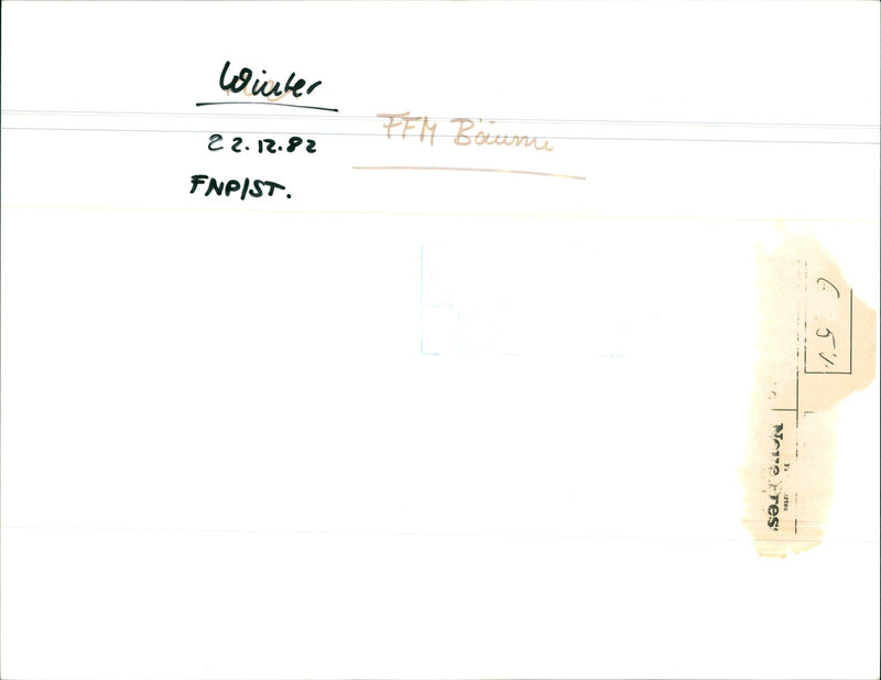 1982 trees in the park - Vintage Photograph