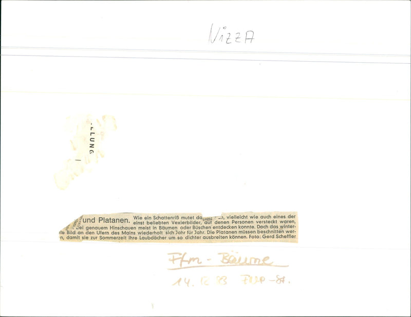 CONSTRUCTION TREES IPFLEGESE WINTER PICTURE BANKS - Vintage Photograph