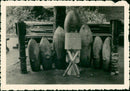 Bomb finds - Vintage Photograph