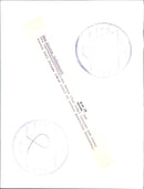 Film "The Little Court Concert" - Vintage Photograph