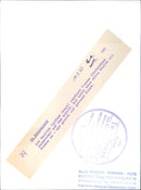 In the fairway - Vintage Photograph