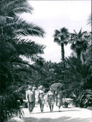 PYRMONT COTIC WAFFLES ARE ATTRACTION PALM GARDEN BAD RMO PRESS - Vintage Photograph