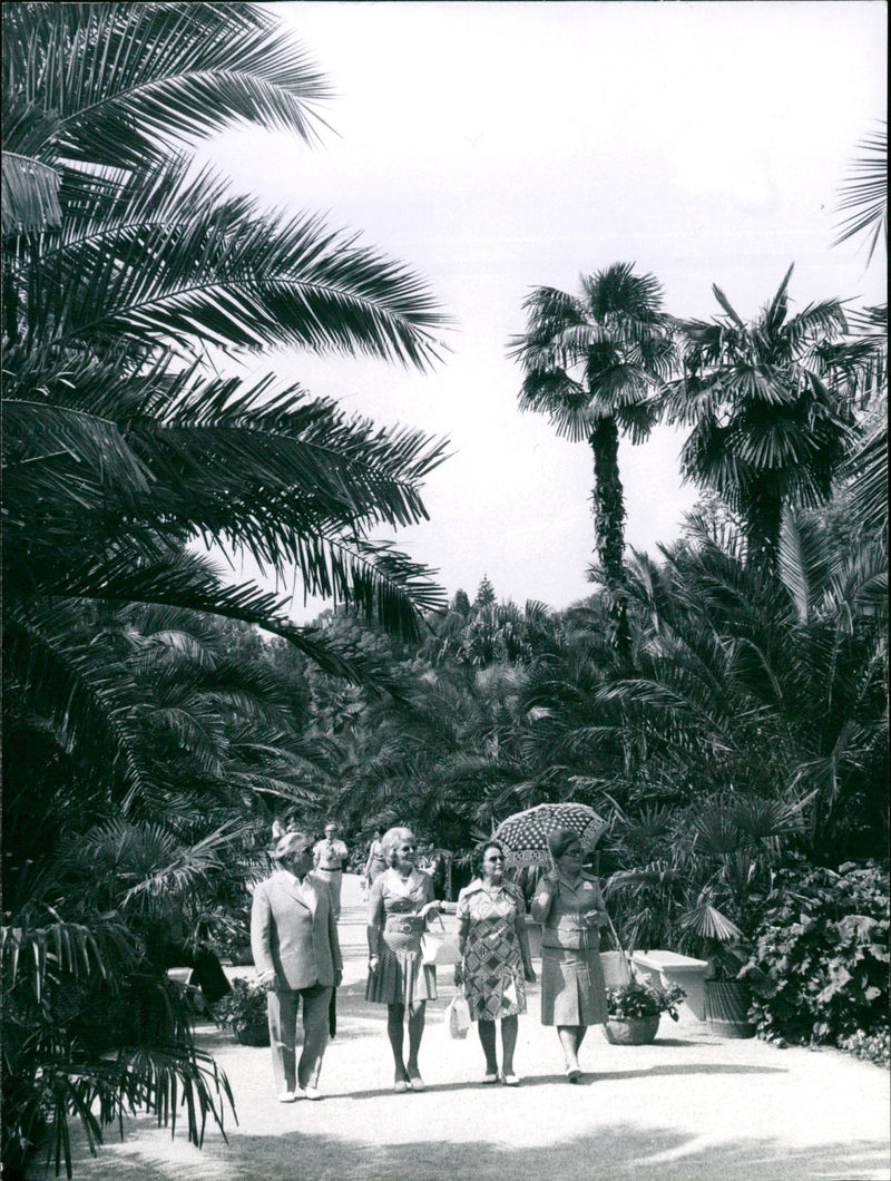 PYRMONT COTIC WAFFLES ARE ATTRACTION PALM GARDEN BAD RMO PRESS - Vintage Photograph