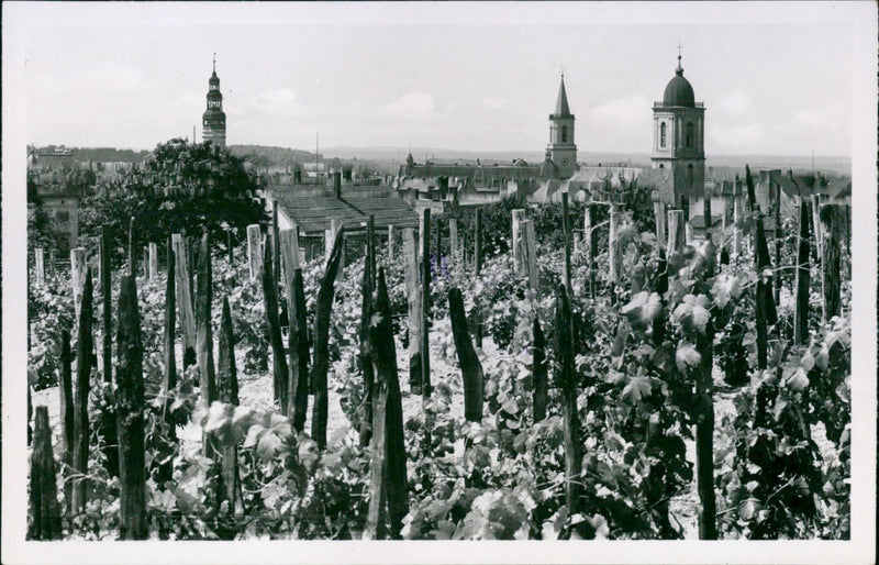 GRUNBERG GRIMBERG PICTURES MUHL BAMBERG POST BOX POINBARAZA PICTUR - Vintage Photograph