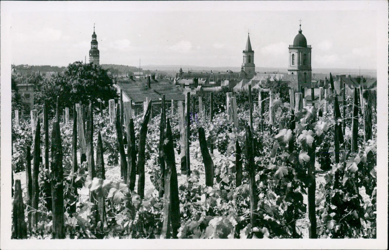 GRUNBERG GRIMBERG PICTURES MUHL BAMBERG POST BOX PRADINUKAARZEN - Vintage Photograph