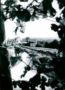 FRIEDRICH KOPETZKY OBER SIEINACH TELEPHONE BERGSTRAE KIRCHBERG GEBR - Vintage Photograph