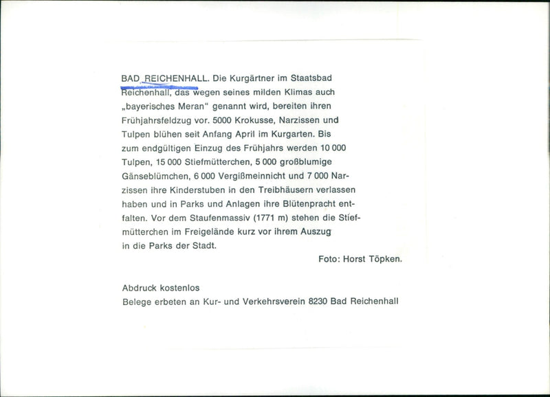 Bad Reichenhall - Vintage Photograph