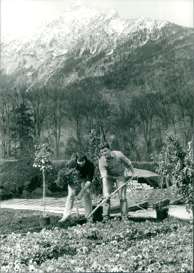 Bad Reichenhall - Vintage Photograph