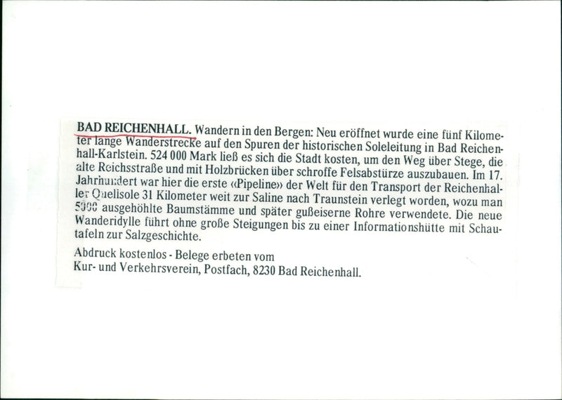 Bad Reichenhall - Vintage Photograph