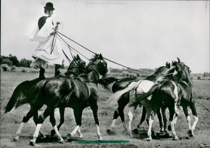 1983 BUDH PEST BATHING STAYS SIOFOK TIHANY BALATONFURED EREN WELL KNOWN HOLID - Vintage Photograph