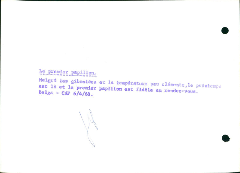 The first butterfly - Vintage Photograph