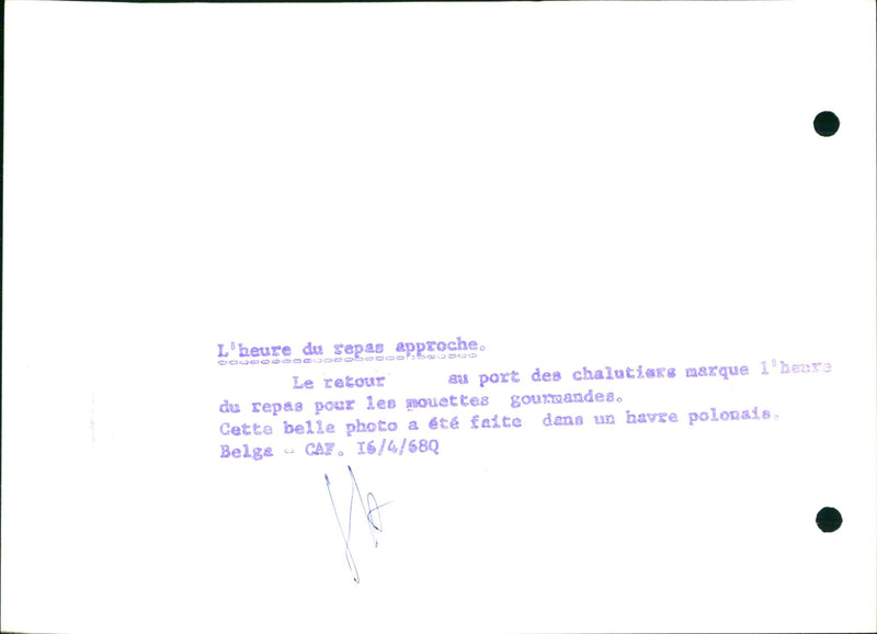 Mealtime is approaching - Vintage Photograph