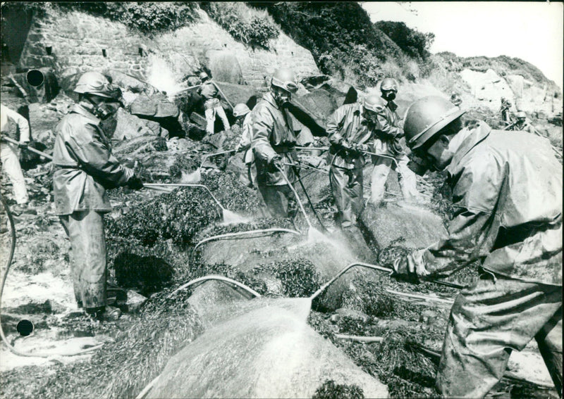 Brittany still at combat - 1967 - Vintage Photograph