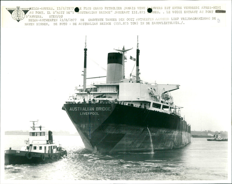 Largest tanker at Antwerp - Vintage Photograph