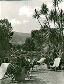 KISSINGS BAD KISSING AND ARE THEMES THIS ISSUE - Vintage Photograph