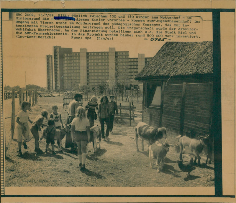 1982 KIEL HANDLING ANIMALS BACKGROUND PADAGOGIC CONCEPT - Vintage Photograph