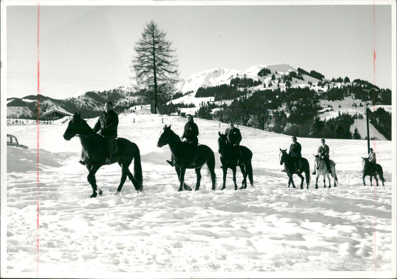 KITZBUHEL HICH TRANKE BILD DENIES GRIT RANDLE POLITIK VERMIS - Vintage Photograph