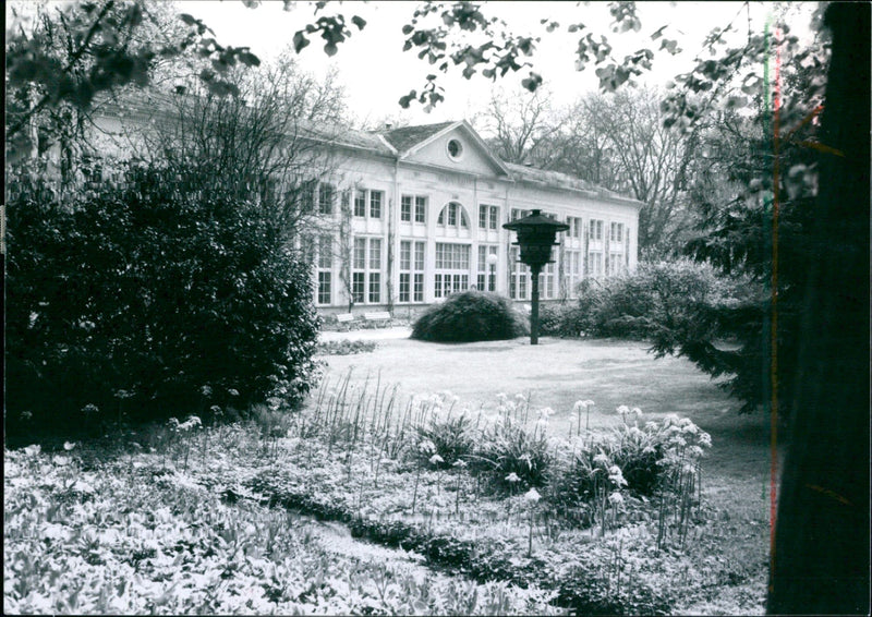 1985 LIES KURP BAD HOMBURG URK NOW ENTICING SEA BLOOD MICHAEL - Vintage Photograph