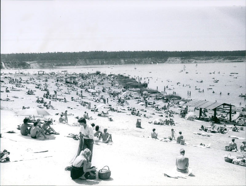 WALDSEE WICK SAUCKENER WOLDSEE ZHUGEN ZWUGEN WOODSEN - Vintage Photograph