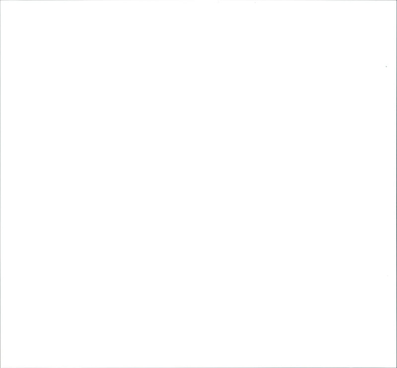 1996 ZHUGEN WALDSEE TEN PERATURES DEGREES NEXT DAYS EXPECT - Vintage Photograph